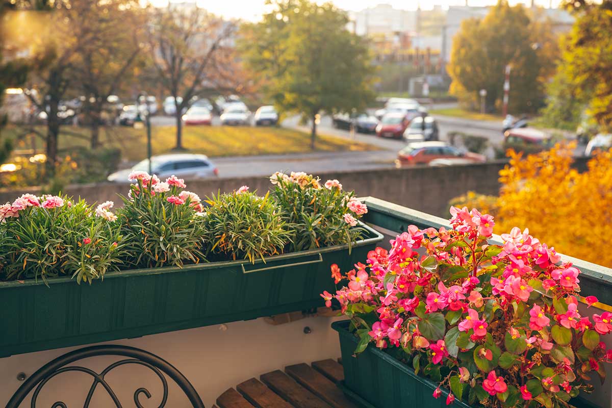 balcone con piante a settembre