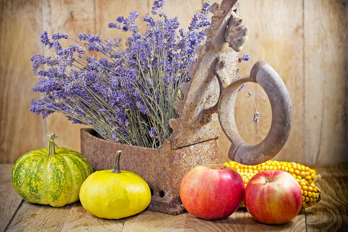 centrotavola autunnale con lavanda e zucca